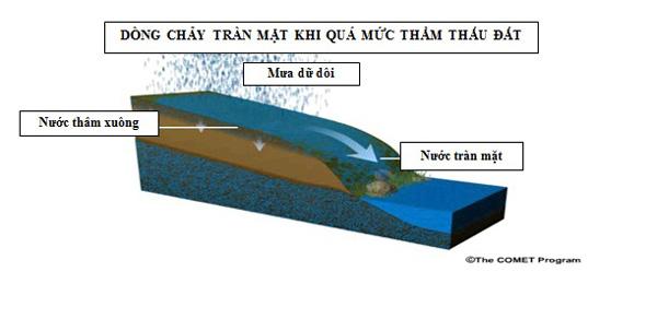 Bài 4: Đâu là nguyên nhân thảm họa này?