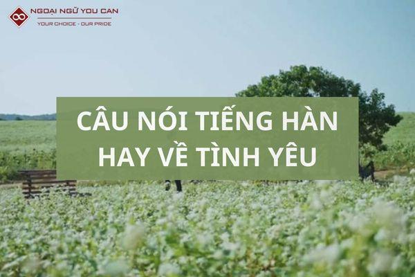 Những Câu Nói Tiếng Hàn Hay Về Tình Yêu Siêu Ý Nghĩa