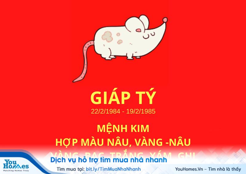 Tuổi Giáp Tý hợp những màu gì và khắc màu gì nhất?