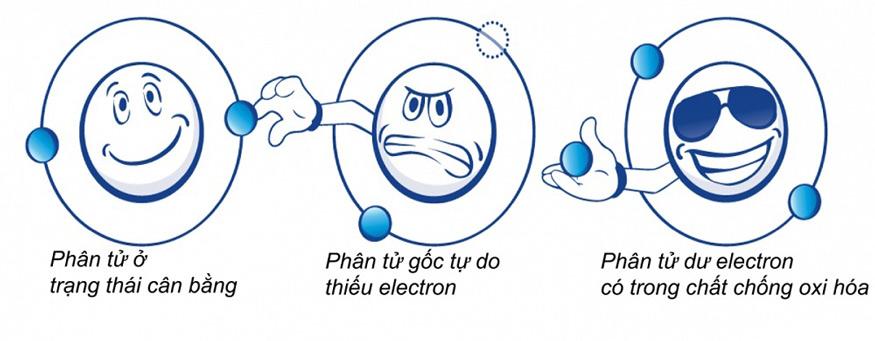 Oxi hóa là gì? Tác hại, biện pháp chống oxi hóa với cơ thể