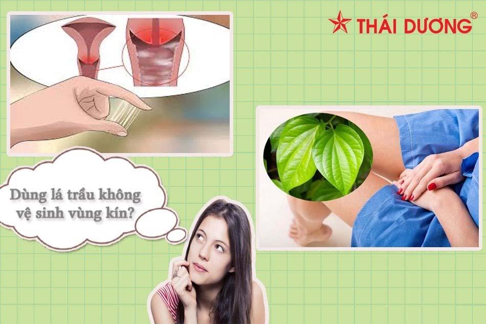 4 Sai lầm tai hại khi vệ sinh vùng kín bằng lá trầu không bạn nên biết