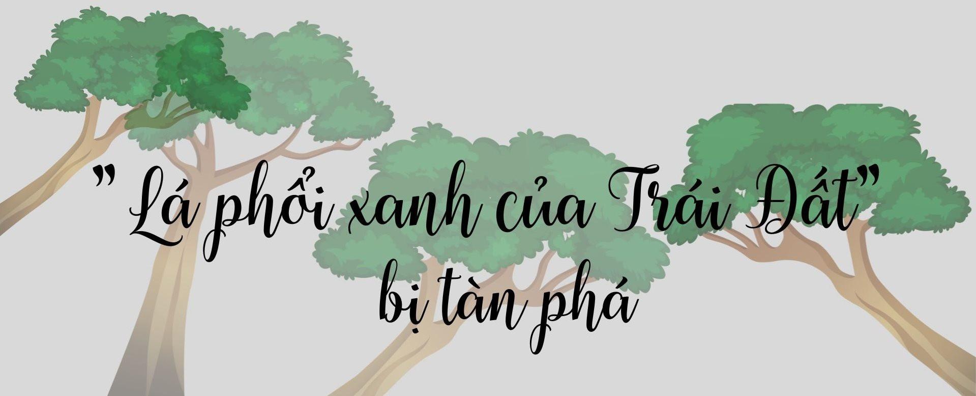 “Lá phổi xanh của Trái Đất” đang kêu cứu