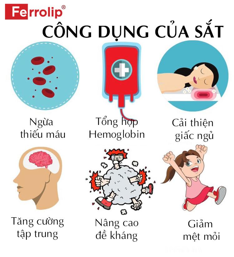 Sắt và canxi uống cách nhau bao lâu là tốt nhất? Thời điểm uống hợp lý trong ngày