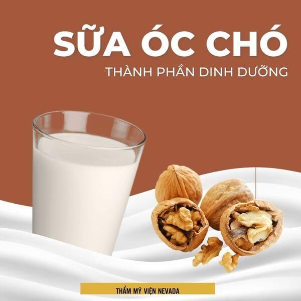 Giáp đáp nhanh sữa hạt óc chó bao nhiêu calo? Và đâu là cách uống giúp xuống cân hiệu quả tức thì?