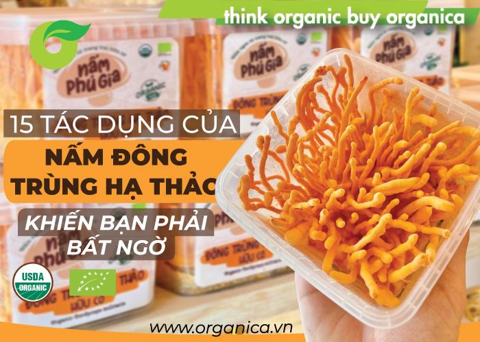 15 tác dụng của nấm đông trùng hạ thảo khiến bạn phải bất ngờ