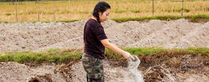 Vì sao phải bón vôi cho đất và cây trồng?