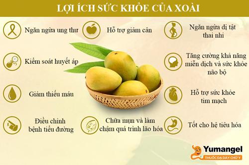 Ăn xoài bị đầy bụng do đâu? Nên làm gì? 