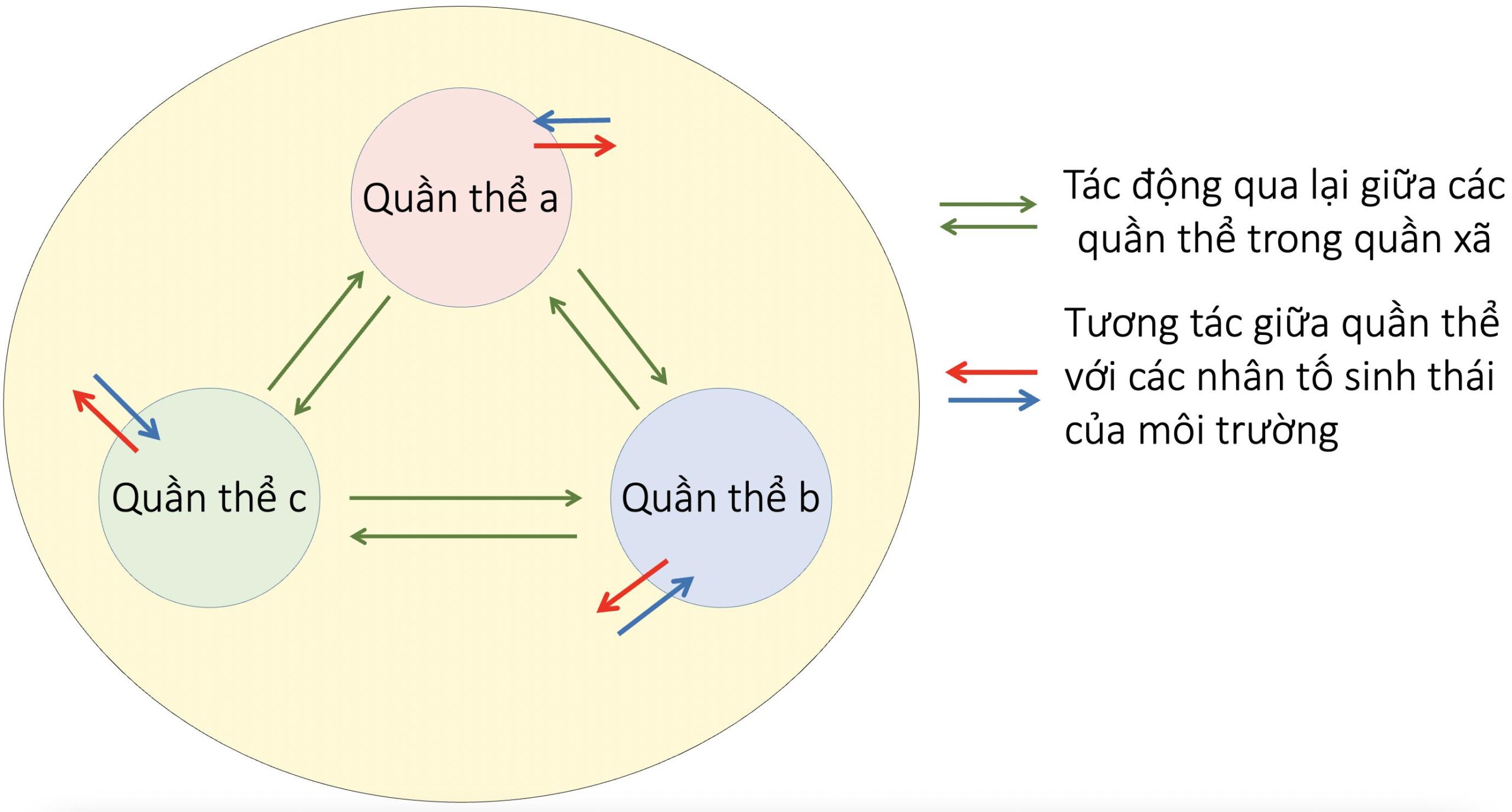 Quần xã sinh vật và một số đặc trưng cơ bản của quần xã - Sinh học 12