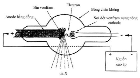 Bản chất tia X và cấu tạo - nguyên lý hoạt động của máy X-quang