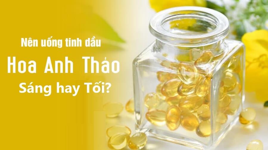 Tinh dầu hoa anh thảo nên uống sáng hay tối? Nay đã có lời giải đáp