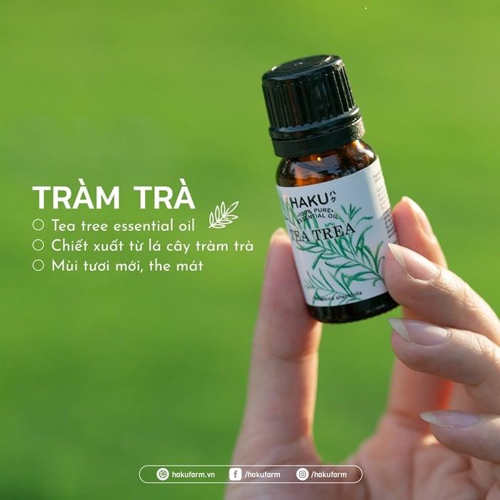 7 tác dụng của tinh dầu Tràm Trà🌿 trong trị mụn, kháng khuẩn