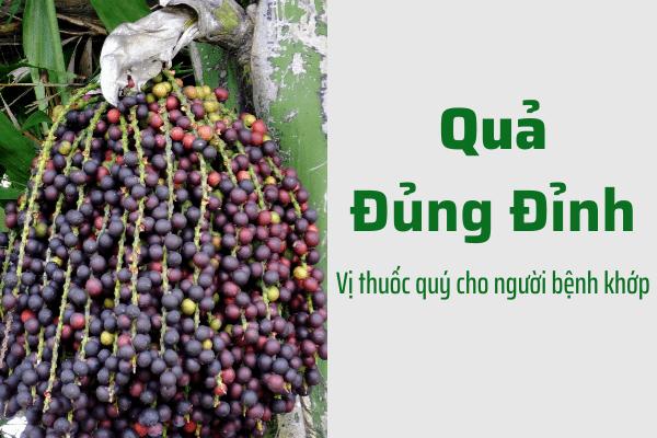 Phát hiện mới trong cây Đủng đỉnh giúp điều trị đau nhức xương khớp vượt trội