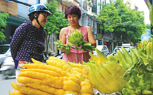 Quả phật thủ: Nhiều công dụng hữu ích cho sức khỏe