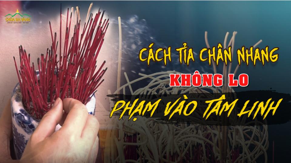 Cách tỉa chân nhang đơn giản mà không bị phạm tâm linh