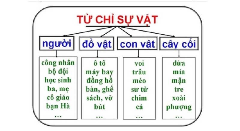 Phân biệt Từ chỉ sự vật; Từ chỉ đặc điểm; Từ chỉ hoạt động, trạng thái