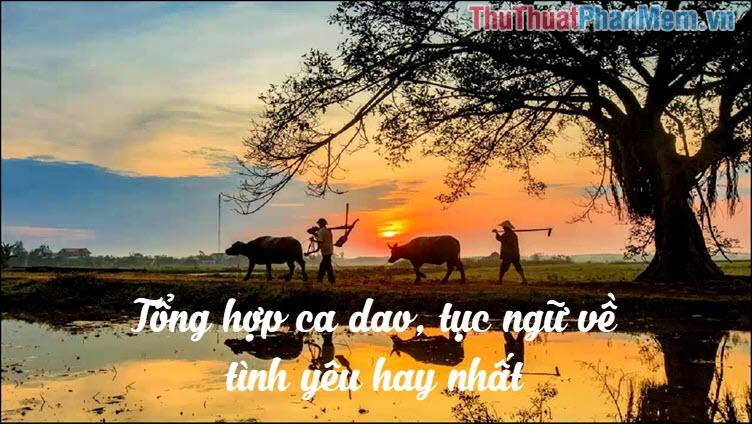 Tổng hợp ca dao, tục ngữ về tình yêu hay nhất