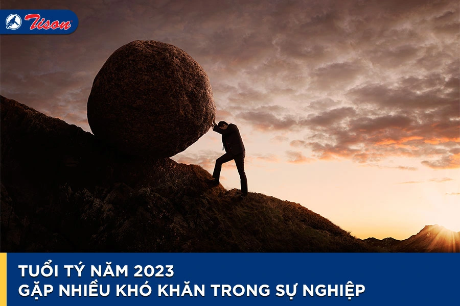 Năm Quý Mão tuổi Tý hợp màu gì? Phong thủy tuổi Tý 2023