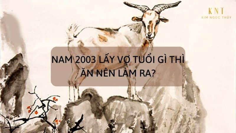 NAM 2003 LẤY VỢ TUỔI GÌ THÌ ĂN NÊN LÀM RA?