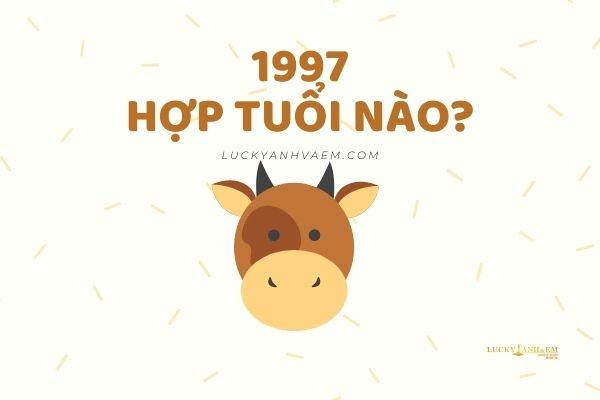 Đinh Sửu 1997 hợp tuổi nào trong hôn nhân và làm ăn?