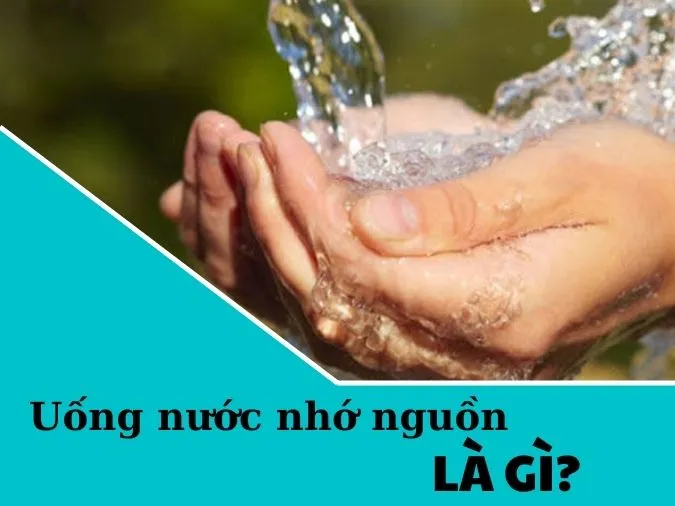 Giải thích ý nghĩa tục ngữ ‘Uống nước nhớ nguồn’ nói đến điều gì?