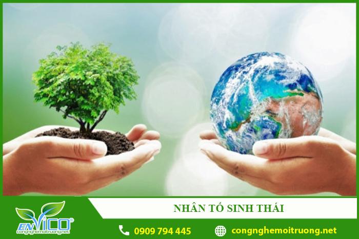 Nhân tố sinh thái là gì? Các loại nhân tố sinh thái hiện nay