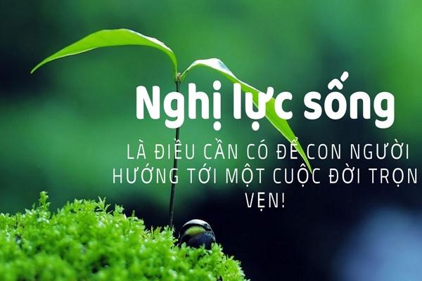 Ý chí nghị lực là gì? Vai trò, cách rèn luyện ý chí nghị lực