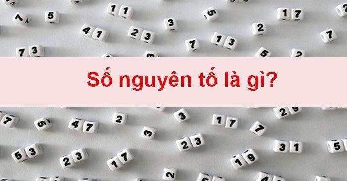 Làm rõ số nguyên tố là gì? Thừa số nguyên tố là gì?