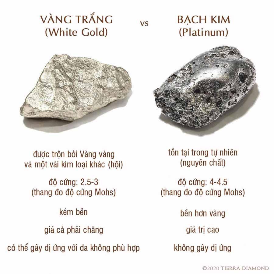 Sự khác nhau giữa vàng trắng và bạch kim là gì?