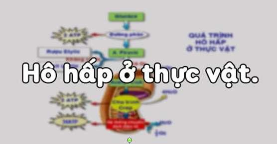 [CỦNG CỐ KIẾN THỨC] Trong Sinh học: bào quan thực hiện chức năng hô hấp chính là?