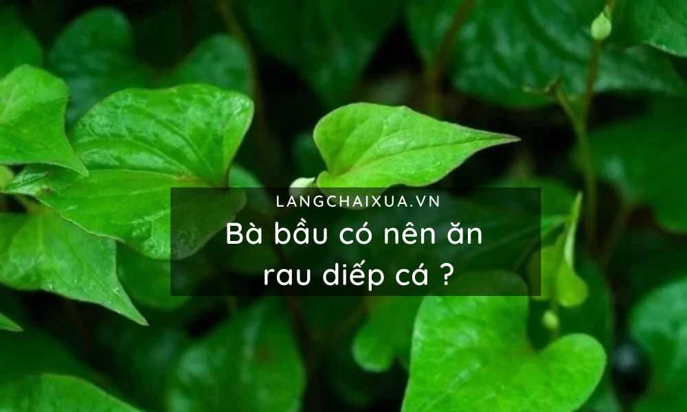 Bà bầu có nên ăn rau diếp cá? Lợi ích bất ngờ mà mẹ chưa hề biết