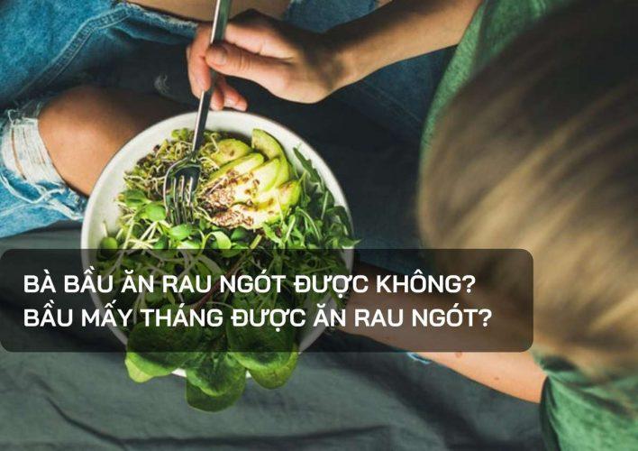 Rau ngót bầu mấy tháng ăn được?