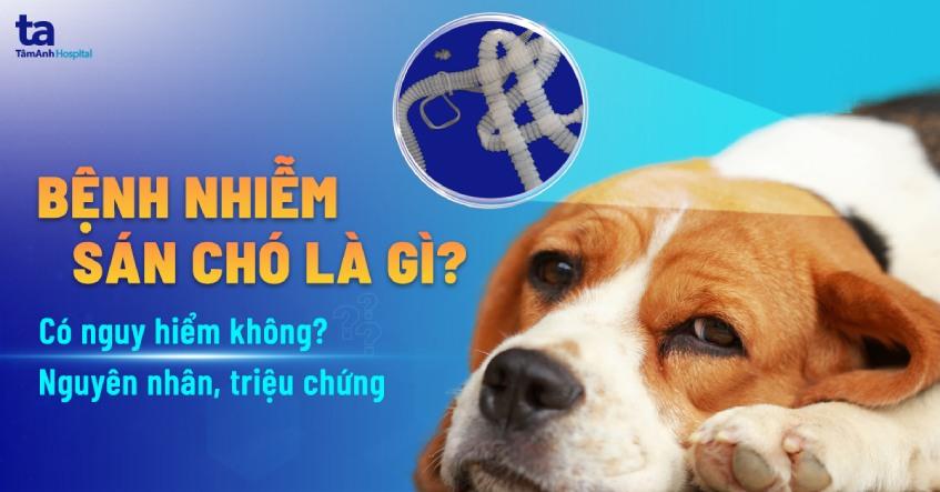 Bệnh nhiễm sán chó là gì? Có nguy hiểm không? Nguyên nhân, triệu chứng