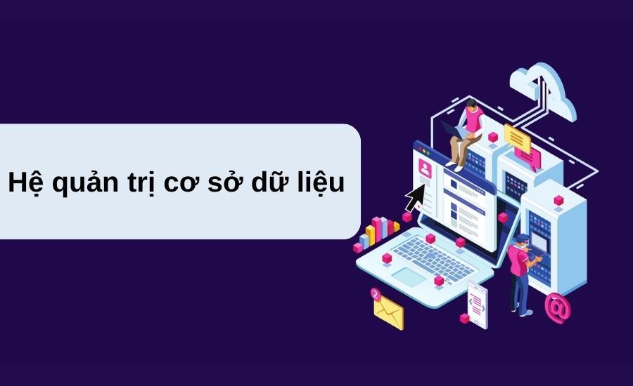 Hệ Quản Trị Cơ Sở Dữ Liệu Là Gì? Vai Trò Của DBMS Là Gì?