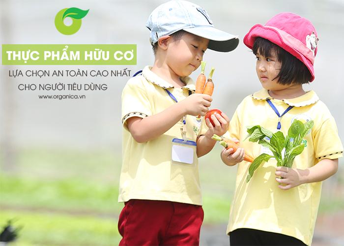 9 thực phẩm biến đổi gen phổ biến nhất, không phải ai cũng biết