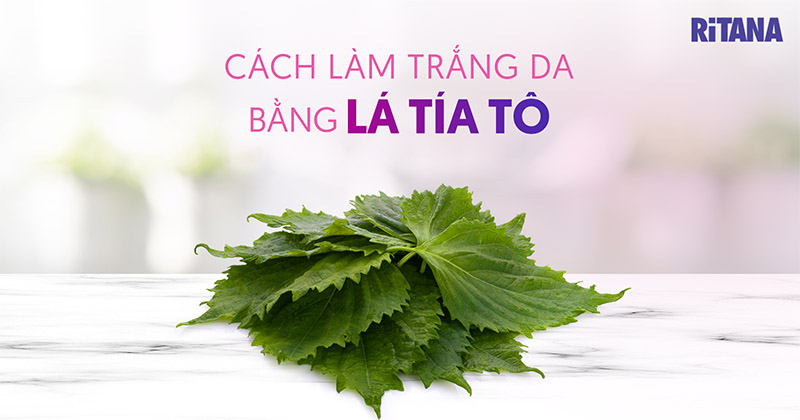 10 cách làm trắng da từ tía tô, giúp bạn có làn da đẹp ngay tại nhà