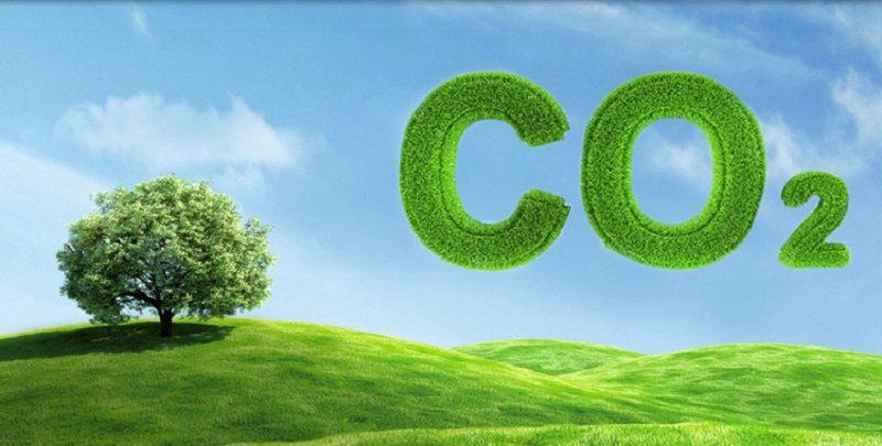 Cây xanh thải khí CO2 khi nào và lý do vì sao?