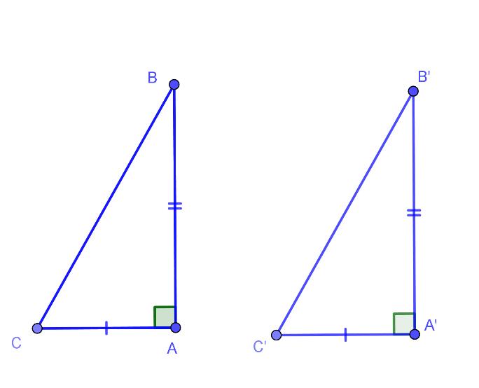 Các trường hợp bằng nhau của hai tam giác vuông và cách giải – Toán lớp 7