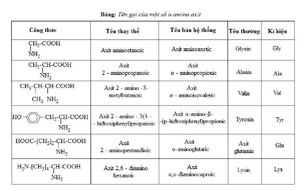 CẤU TẠO, TÍNH CHẤT VÀ ỨNG DỤNG CỦA AMINO AXIT