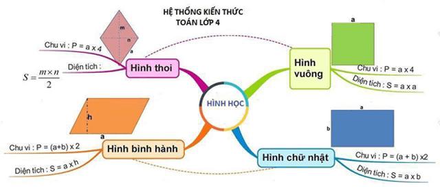 Toán hình lớp 4: Tổng hợp tất cả định nghĩa, công thức và các dạng bài tập vận dụng thường gặp