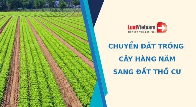 Chuyển đất trồng cây hàng năm sang đất thổ cư thế nào?