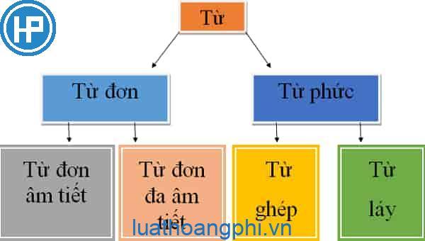 Từ là gì?