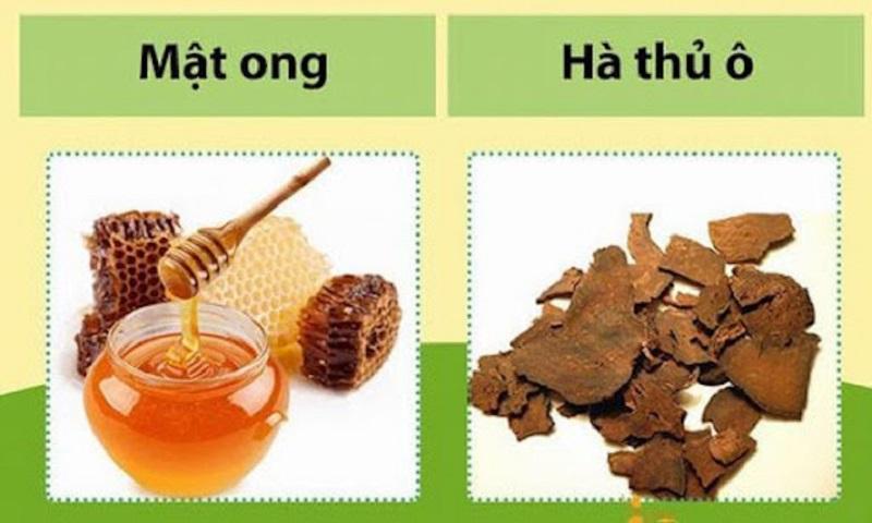 Hà thủ ô mật ong có công dụng gì? Cách sử dụng hiệu quả