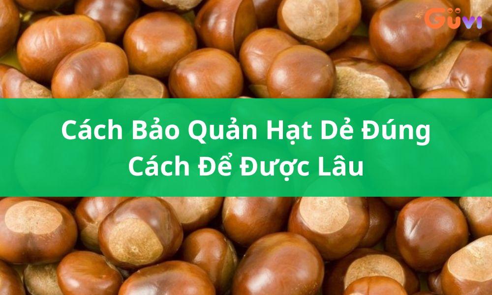 Cách Bảo Quản Hạt Dẻ Đúng Cách Để Được Lâu Không Lo Hỏng