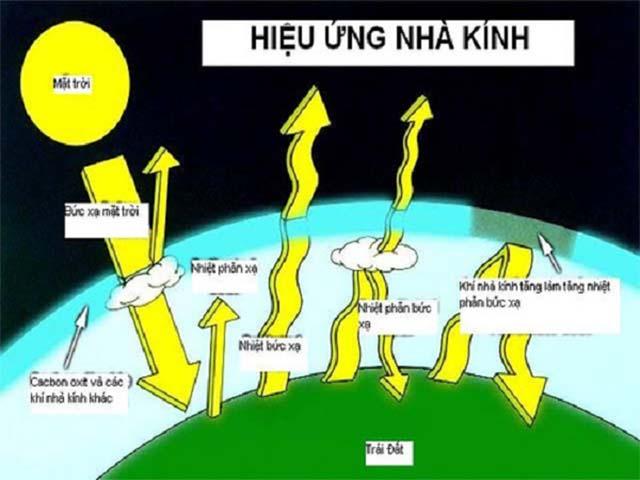 Hiệu ứng nhà kính là gì? Nguyên Nhân, Hậu Quả và Giải Pháp