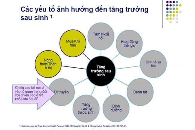 Cha mẹ cần biết về 'giờ vàng' cho giấc ngủ giúp trẻ tăng trưởng chiều cao