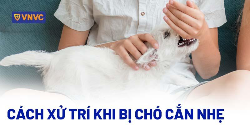 Làm gì khi bị chó cắn nhẹ? Bị trầy xước nhẹ ở tay có sao không?