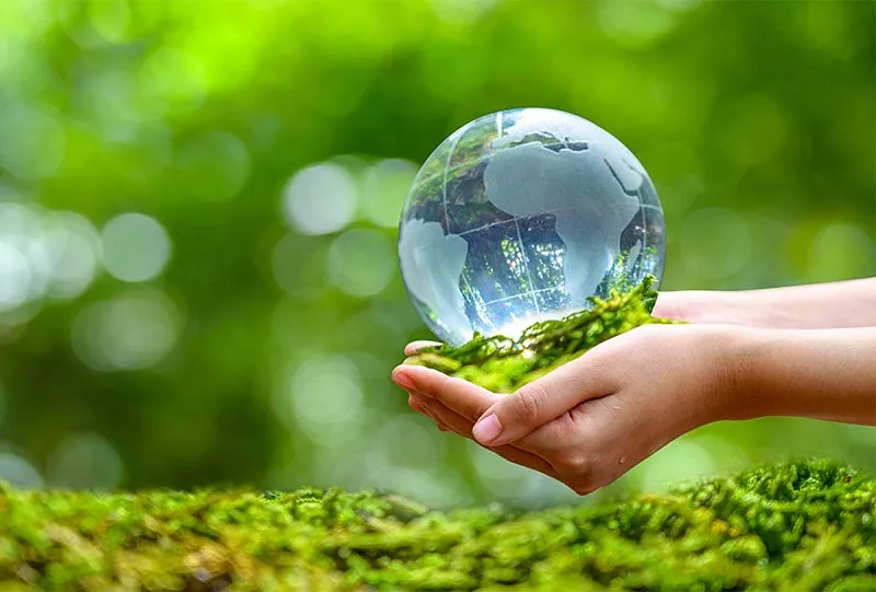 Bảo vệ môi trường là gì? 5 biện pháp bảo vệ môi trường hiệu quả