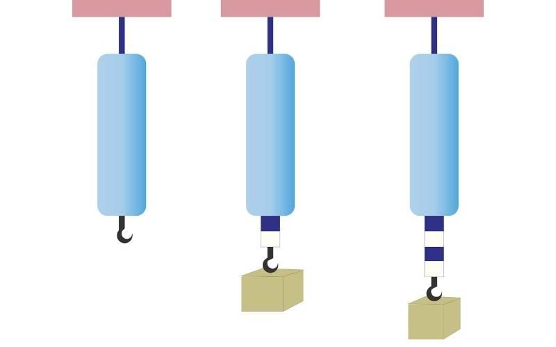 Lực kế, phép đo lực, trọng lượng, khối lượng - Kiến thức vật lý 6