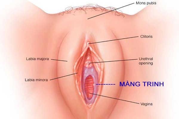 Màng trinh có tự lành được không? Làm lành màng trinh bằng cách nào?