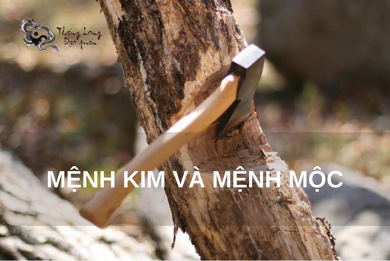 Mệnh Kim và mệnh Mộc xung khắc với nhau như thế nào? Phương án hóa giải ra sao?